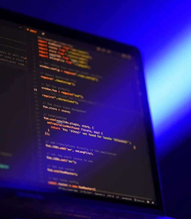 Image of a Vue.js code editor
